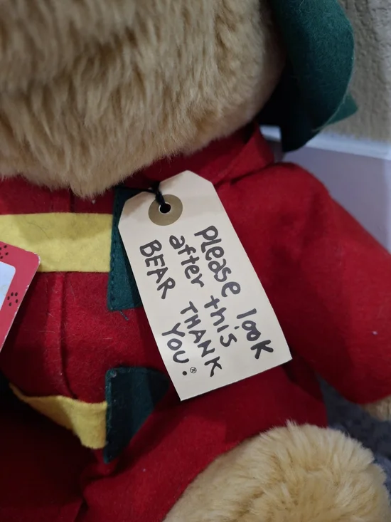 Paddington Bear - Picture 7 of 11